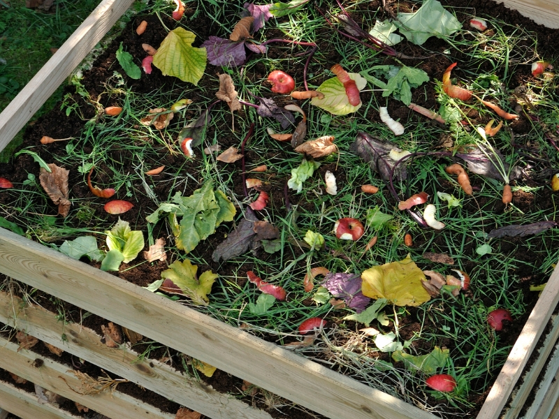 kompostownik - jak poprawnie o niego dbać?