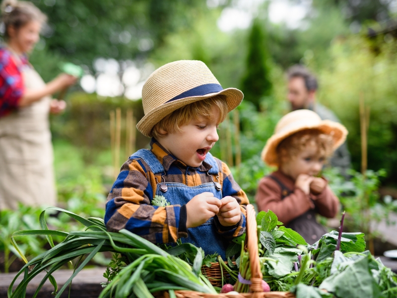 ogród bezpieczny dla dzieci
