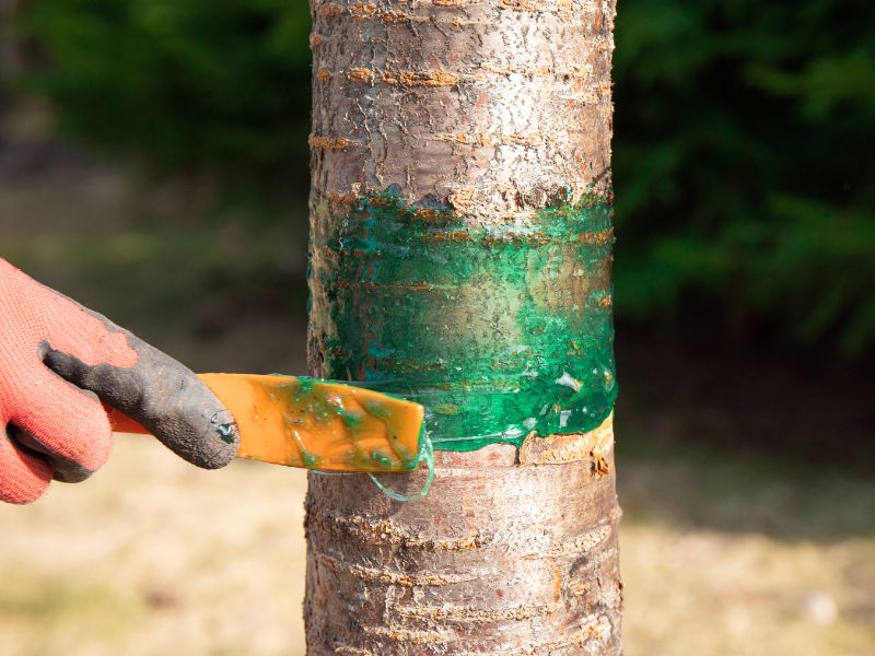 kleje w ogrodnictwie