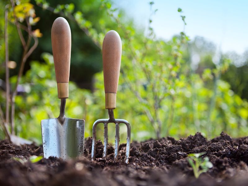 praca w ogrodnictwie za granicą