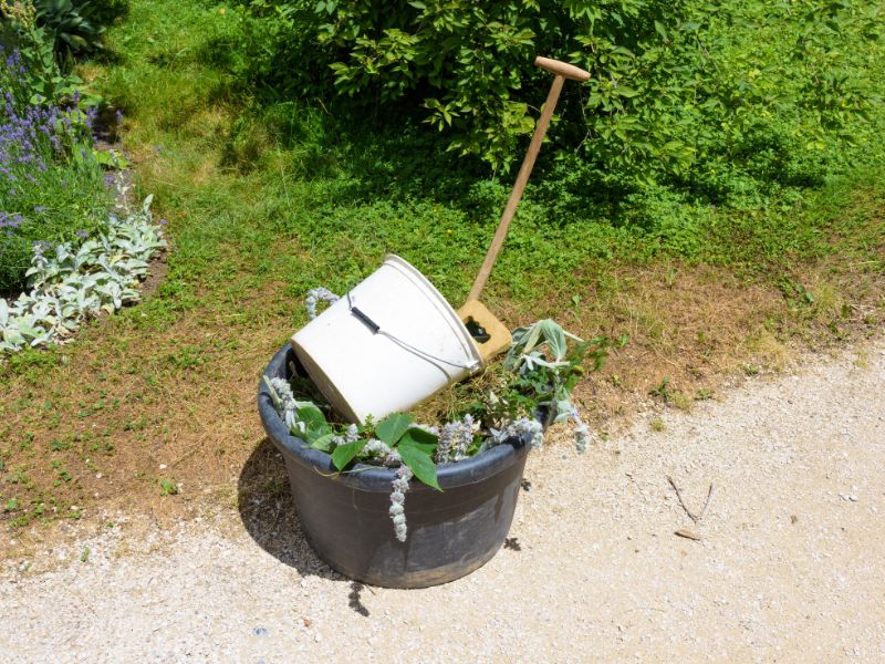 Porządki w ogrodzie po zimie - od czego zacząć?