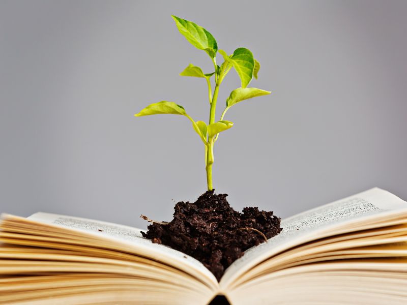 Jak nauka języków obcych może ułatwić pielęgnację ogrodu?