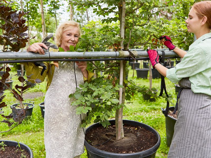 Skuteczna pielęgnacja ogrodu - Na co zwrócić uwagę?