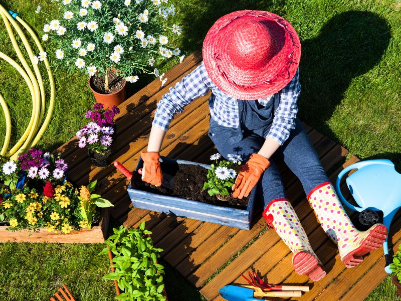 Jak zadbać o ogród po remoncie – Skuteczny wywóz gruzu i odpadów