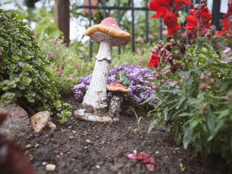 fresh-mushrooms-garden