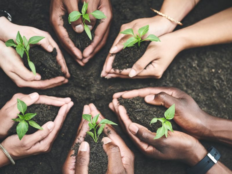 jak-zalozyc-firme-ogrodnicza