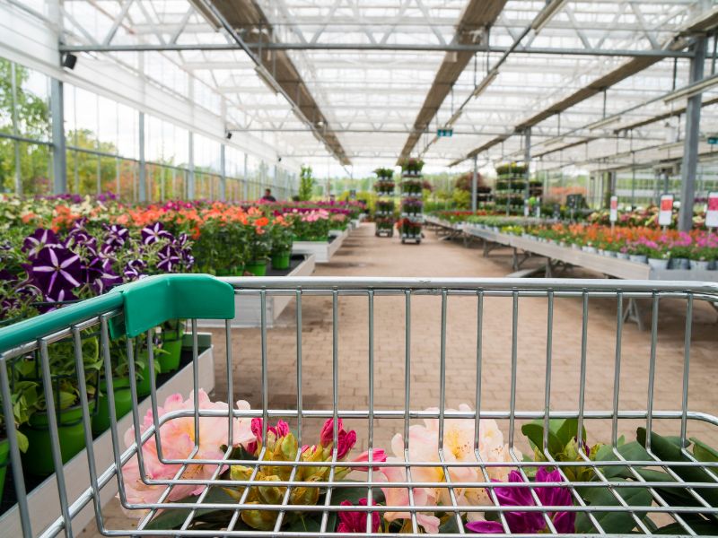 reklama sklepu ogrodniczego