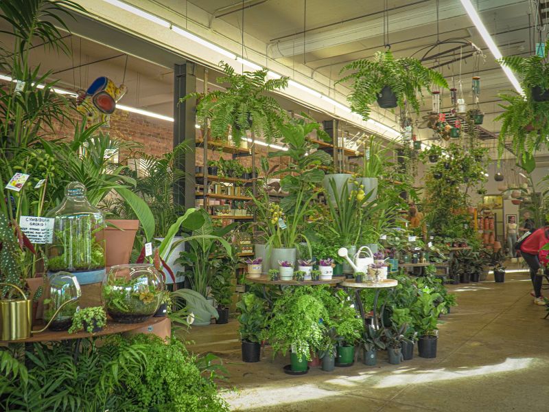 hale-namiotowe-konin-ogrodniczy