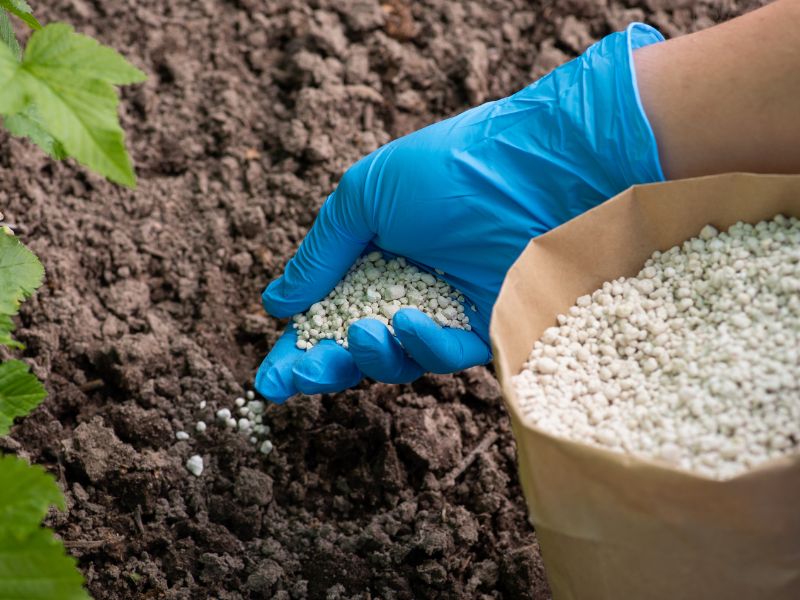 Magazynowanie nawozów mineralnych – na co zwrócić uwagę?