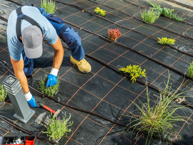 Który system nawadniania jest najlepszy?