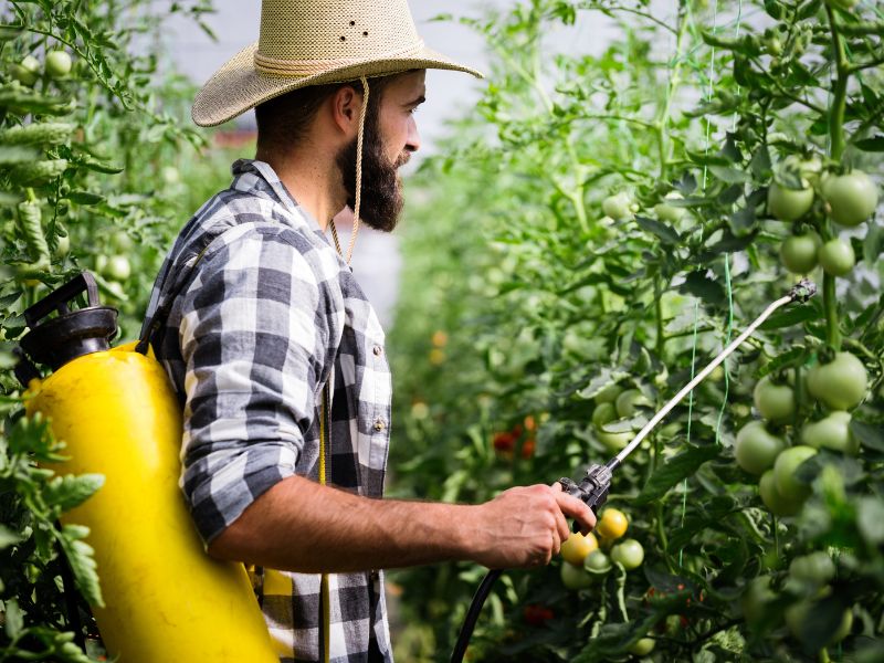 Jak przewozić i przechowywać środki ochrony roślin?